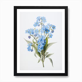 Forget Me Nots Flower Vintage Botanical 0 Art Print