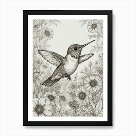 Hummingbird 50 Art Print