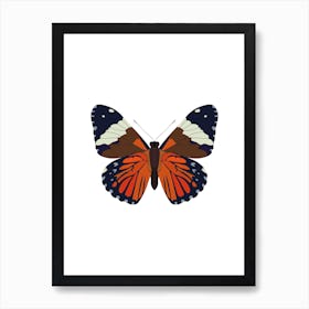 Hamadryas Butterfly Art Print