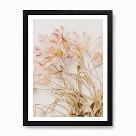 Dried Floral Arrangement Art Print