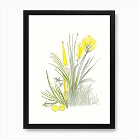 Lemon Grass Spices And Herbs Pencil Illustration 3 Art Print
