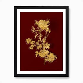 Vintage Celery Leaved Cabbage Rose Botanical in Gold on Red n.0198 Art Print