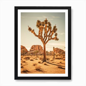  Photograph Of A Joshua Trees In Mojave Desert 3 Art Print