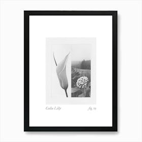 Calla Lilly Botanical Collage 3 Art Print