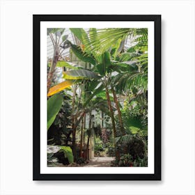 Tropical Botanical Green Art Print