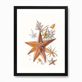 Star Anise Spices And Herbs Pencil Illustration 2 Art Print