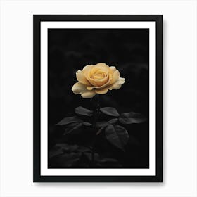 Single Yellow Rose Poster