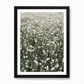 Blowball Heaven Art Print