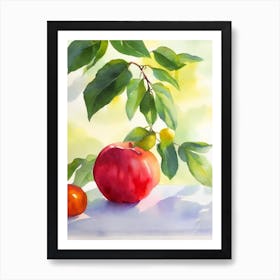 Star Apple Italian Watercolour fruit Art Print