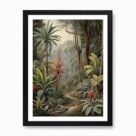 Vintage Jungle Botanical Illustration Bromeliads 3 Art Print