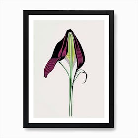 Jack In The Pulpit Floral Minimal Line Drawing 3 Flower Art Print