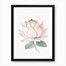 Lotus Flower Pattern Pencil Illustration 2 Art Print