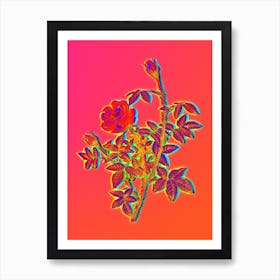 Neon Moss Rose Botanical in Hot Pink and Electric Blue n.0198 Art Print