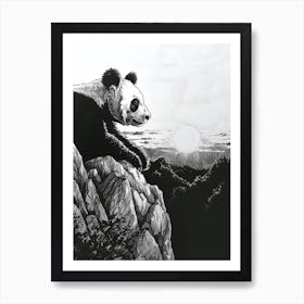 Giant Panda Looking At A Sunset From A Mountaintop 4 Art Print