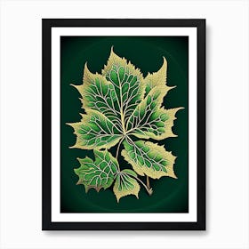 Siberian Ginseng Leaf Vintage Botanical 2 Art Print