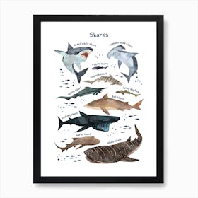 Watercolour Sharks Art Print