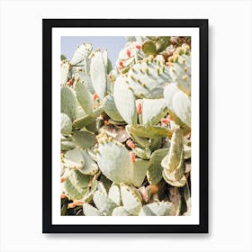 Warm Cactus Flowers Art Print