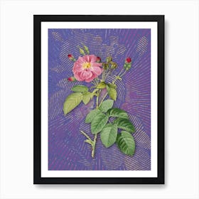 Vintage Harsh Downy Rose Botanical Illustration on Veri Peri n.0109 Art Print