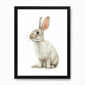 Polish Rex Rabbit Kids Illustration 1 Art Print