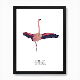 Flamenco Art Print