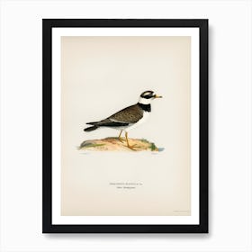 European Roller, The Von Wright Brothers Art Print