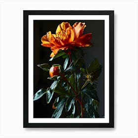 Orange Peony Art Print