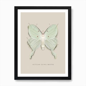 Luna Moth Art Print