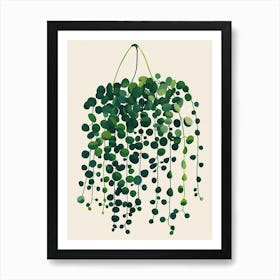 String Of Pearls Plant Minimalist Illustration 6 Art Print