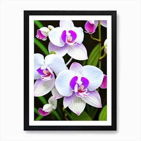 Orchids 7 Art Print