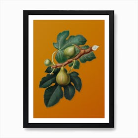 Vintage Fig Botanical on Sunset Orange n.0973 Art Print