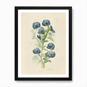 Blue Flowers Botanical Farmhouse Art Print