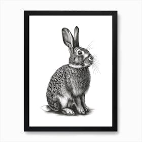 American Sable Blockprint Rabbit Illustration 4 Art Print