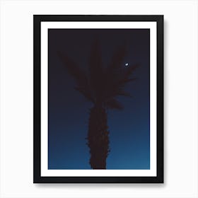 Mexico Moon VI Art Print