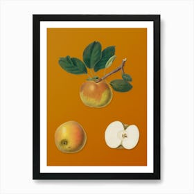 Vintage Apple Botanical on Sunset Orange n.0714 Art Print