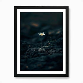 Single White Flower 7 Art Print