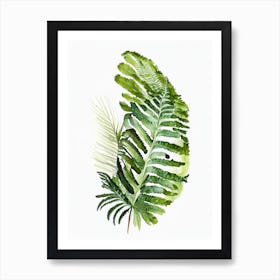 Tasmanian Tree Fern Watercolour Art Print