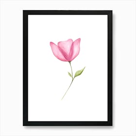 Pink Flower Watercolor Painting Art Print