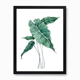 Botanical Leaf Garden In Watercolor Art Print