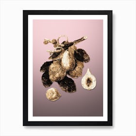 Gold Botanical Common Fig on Rose Quartz n.4881 Art Print