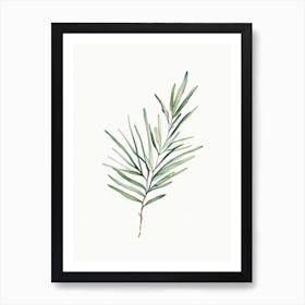 Rosemary Leaf Minimalist Watercolour 1 Art Print