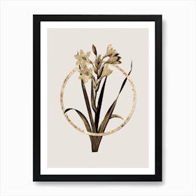 Gold Ring Gladiolus Saccatus Glitter Botanical Illustration n.0137 Art Print