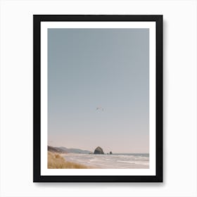 Oregon Coast Seagull Art Print