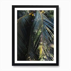 Green Palm Leaves Art Print