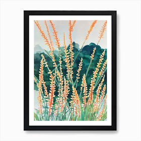 Acropora Echinata Vintage Graphic Watercolour Art Print