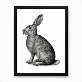 American Sable Blockprint Rabbit Illustration 2 Art Print