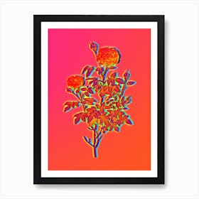 Neon Burgundy Cabbage Rose Botanical in Hot Pink and Electric Blue n.0238 Art Print