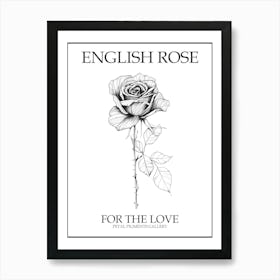 English Rose Black And White Line Drawing 17 Poster Art Print