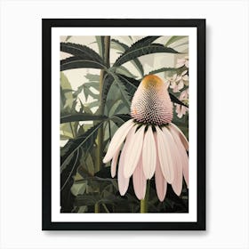 Flower Illustration Coneflower 1 Art Print