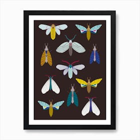 Moths At Night Art Print