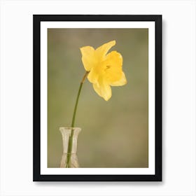 Yellow Daffodil In Vase Art Print